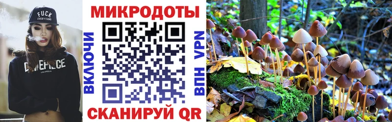 Псилоцибиновые грибы GOLDEN TEACHER  что такое   Вятские Поляны 