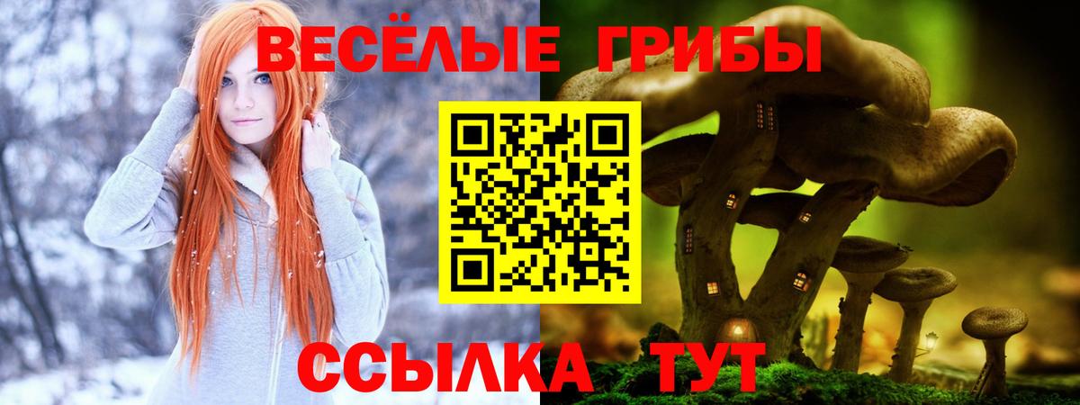 Вятские Поляны  Галлюциногенные грибы MAGIC MUSHROOMS  Вход с VPN 